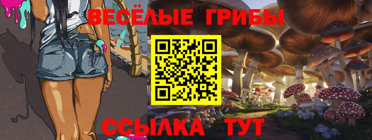Галлюциногенные грибы мицелий  Вход с VPN  Химки  Псилоцибиновые грибы Magic Shrooms 