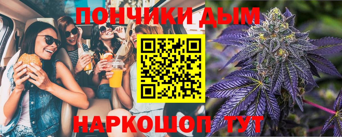 Канабис сатива Химки